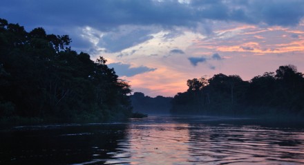 Amazon Rainforest