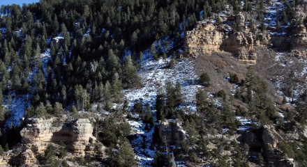 Grand Canyon National Park