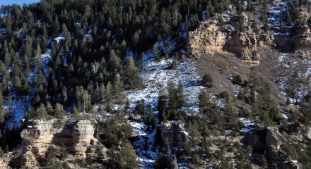 Grand Canyon National Park