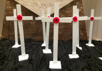 Remembrance Day Crosses